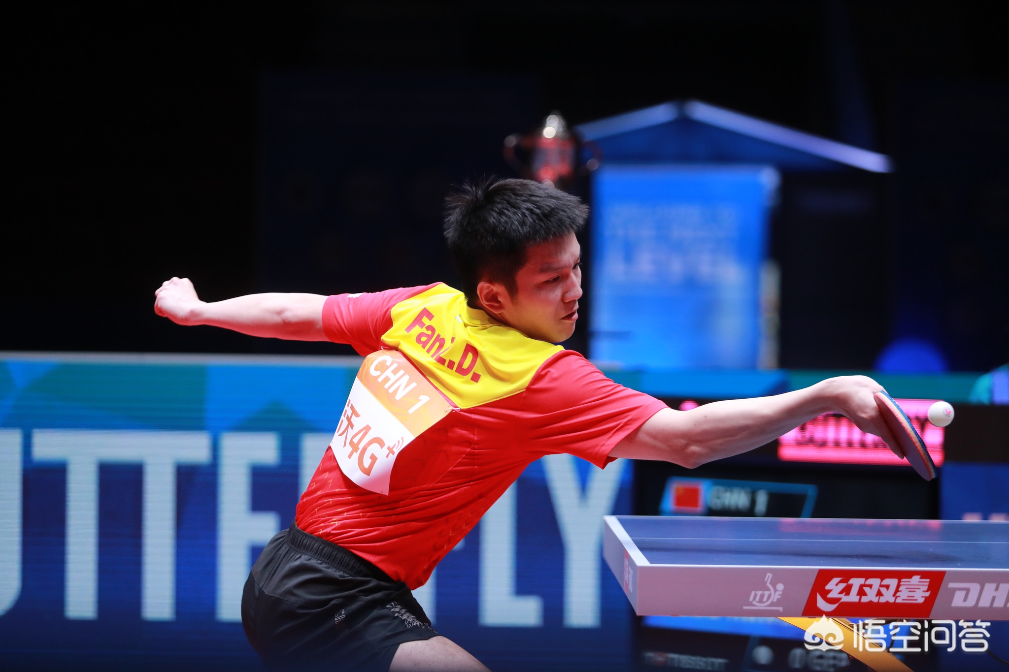 年轻球员愿 年轻球员愿